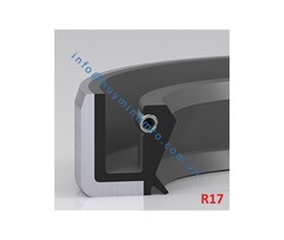 Phớt chặn dầu lò xo - R17