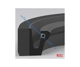 Phớt chặn dầu lò xo - R31